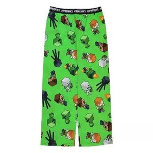 Boys Minecraft Block Heads Pajama Pants in 14-16 Husky, NWT